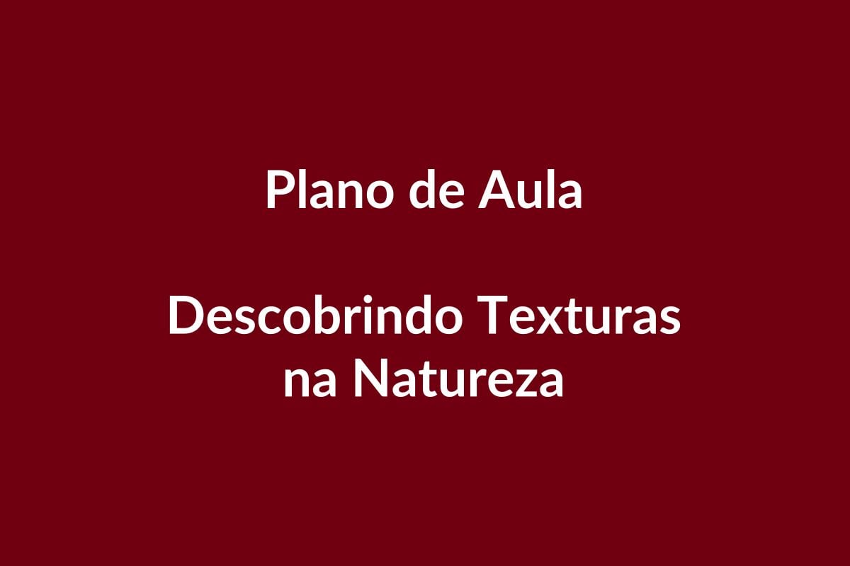 Plano de Aula – Descobrindo Texturas na Natureza – Educação Infantil – BNCC