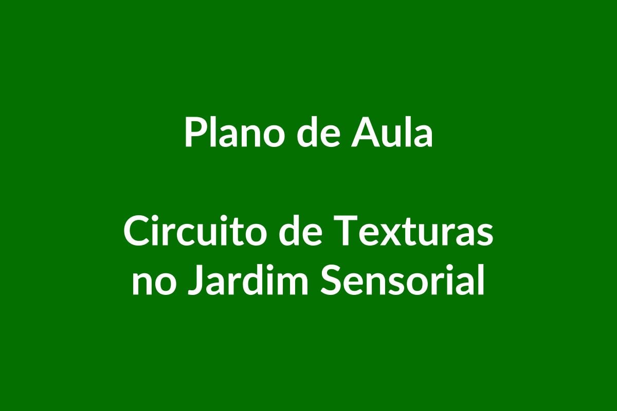 Plano de Aula – Circuito de Texturas no Jardim Sensorial – Educação Infantil – BNCC