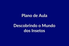 Plano de Aula BNCC – Descobrindo o Mundo dos Insetos – Educação Infantil