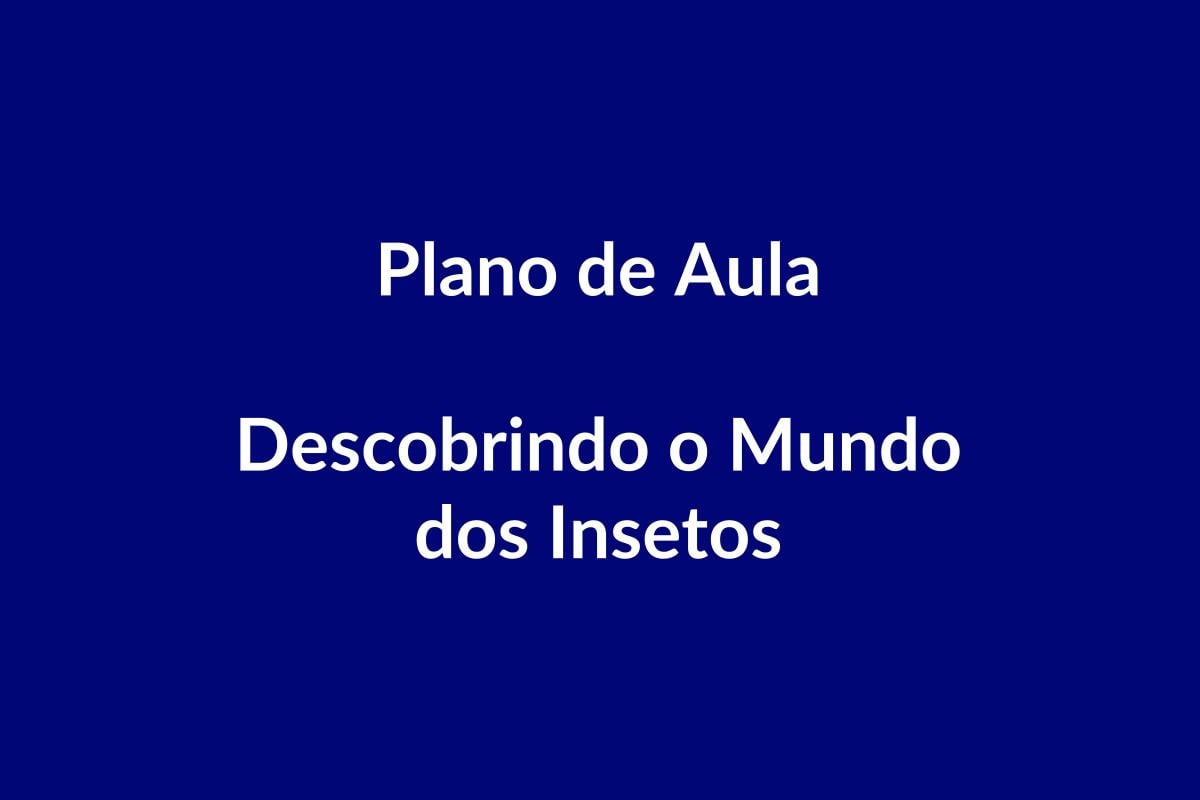 Plano de Aula BNCC – Descobrindo o Mundo dos Insetos – Educação Infantil