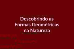 Plano de Aula – Descobrindo as Formas Geométricas na Natureza – Educação Infantil – BNCC