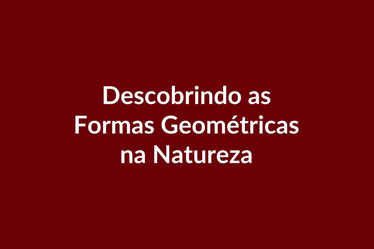 Plano de Aula – Descobrindo as Formas Geométricas na Natureza – Educação Infantil – BNCC